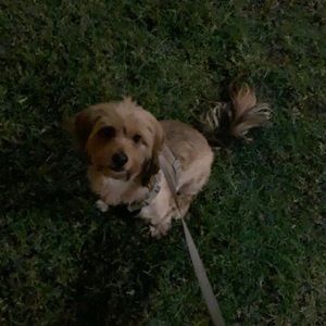 Meet your Posher, Karena